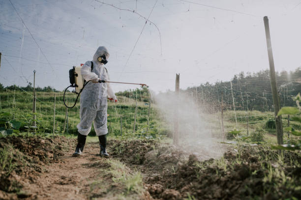 Best Mosquito Control Services  in Rockvale, TN