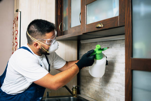 Best Best Pest Control Companies  in Rockvale, TN