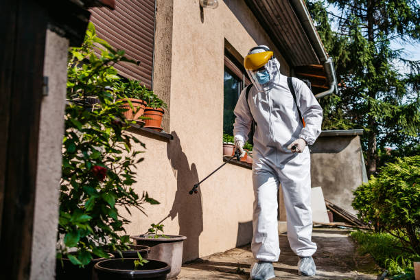 Best Affordable Pest Control Services  in Rockvale, TN