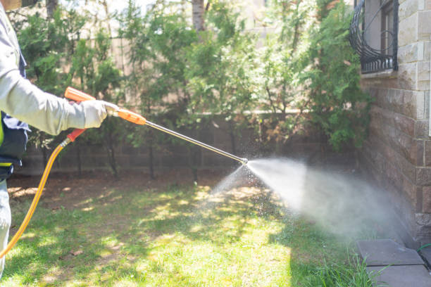 Best Best Pest Control Companies  in Rockvale, TN