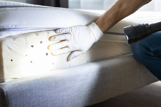 Trusted Rockvale, TN Pest Control Experts