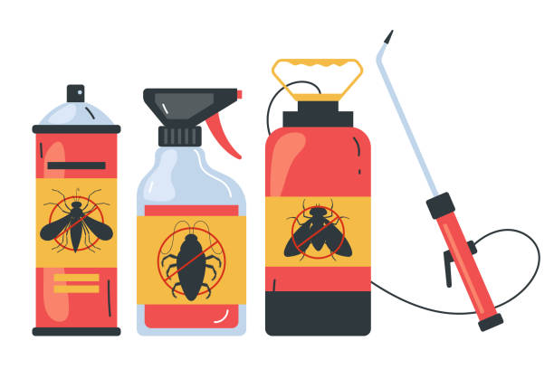 Best Local Pest Control Services  in Rockvale, TN