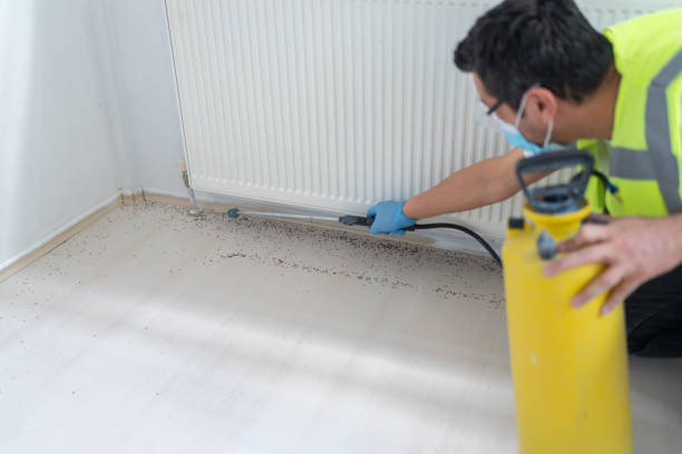Best Residential Pest Control  in Rockvale, TN