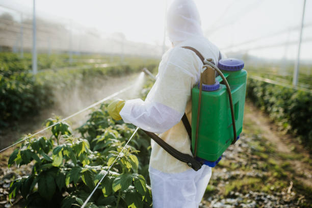 Best Cockroach Control Services  in Rockvale, TN